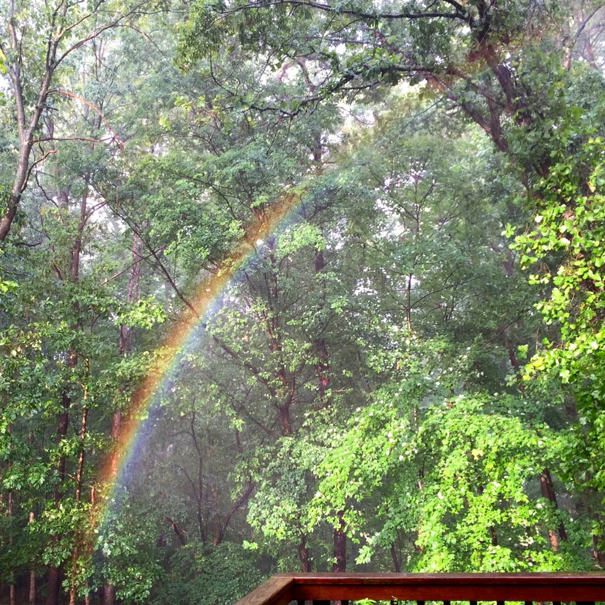 @Giselleinmotion @Touchse @CharlesMcCool @perthtravelers @NearAndFarAZ @MadHattersNYC @GoodLifeWithIQ @ShellevenHouse @TravelBugsWorld @SteveKubota @LoriMoreno @kmf116 @FansFair @RickGriffin My #Top4Rainbows for #Top4Theme:
 - #CapeCod double rainbow @VisitMA 
- cruising Alaska
- Niagara Falls
- @CharlesMcCool and my backyard in #Virginia 

@CharlesMcCool @Giselleinmotion @perthtravelers @Touchse