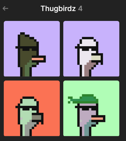 hoodratbtc's tweet photo. my crypto twitter account never got engagement and my little brother @coreysolington now has more followers than me from NFTS. I am now a bird. A #THUGBIRD . Just swept the fucking floor with 100K, can i get a noot noot peep peep or whatever the fuck u guys do? https://t.co/43wqI0vMm1