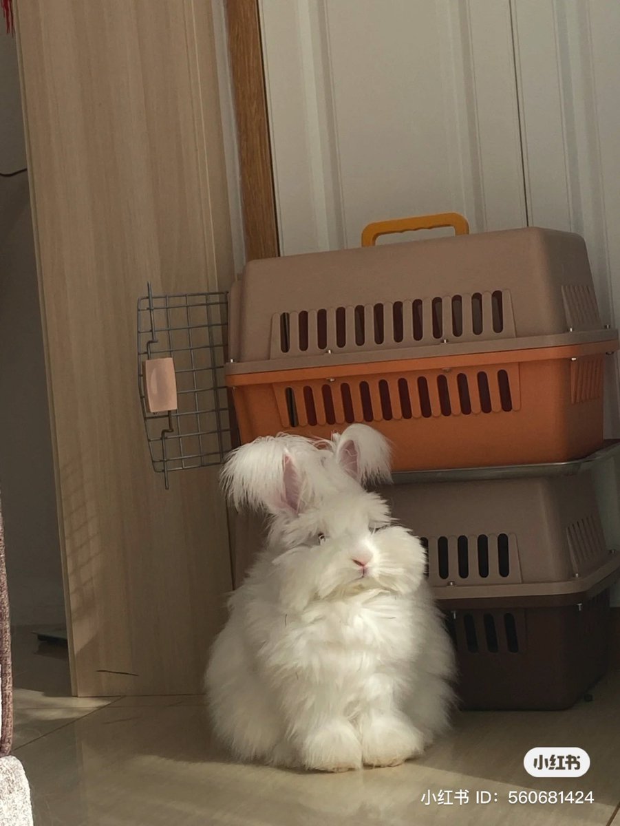 𓂋 ⌗🥛น้องไอดอ🏸⟢ tweet media