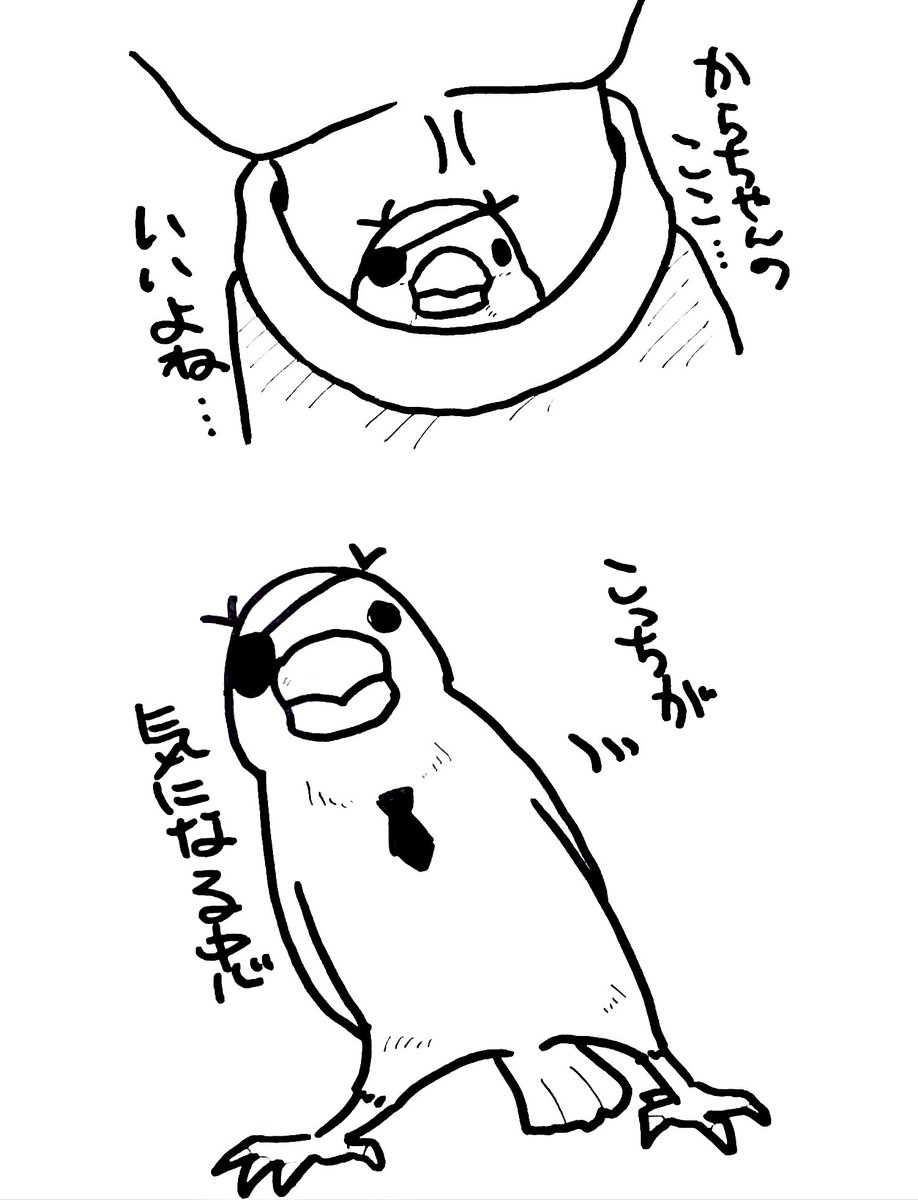 文鳥忠(●θ・) 