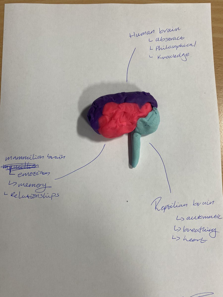DuncanrigHWB's tweet photo. Our Triune brains from the S6 Mental Health and Wellbeing class! 🧠 #MentalHealth #HealthAndWellbeing #TriuneBrain #MentalHealthAndWellbeing #BrainDevelopment https://t.co/XLoiAvt87h