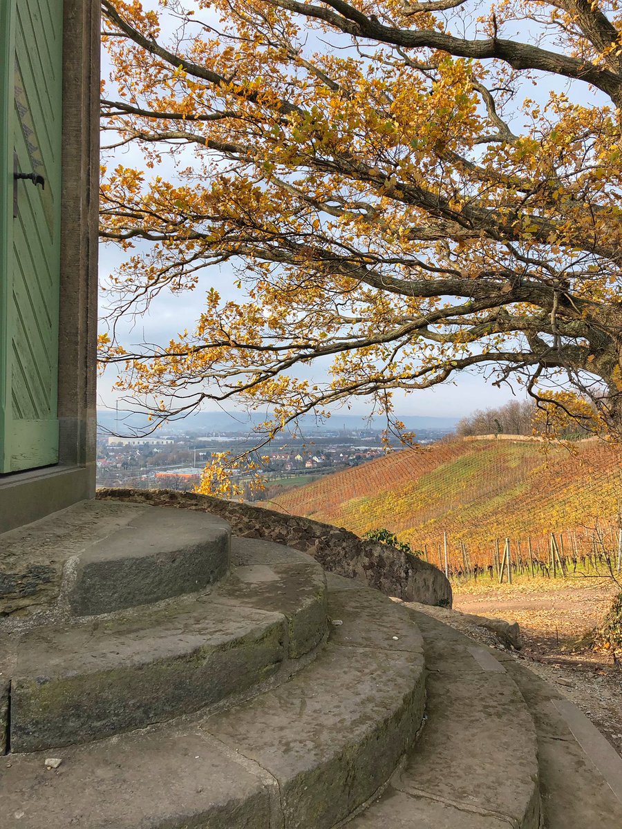 Hochtouren's tweet photo. weiter gehts nach #Radebeul in die Weinberge mit Blick auf das Staatsweingut #Wackerbarth, jetzt schon 9°C #Weinbau #Jacobstein https://t.co/5MaIyDsgCJ
