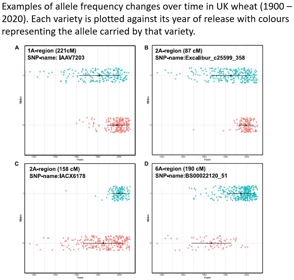 EnvGWAS on yr of origin &amp; eigenGWAS on SVD of markers in historical data need no trait data to find loci under selection. Hits validated against traits. Contrasting results between spring &amp; winter, barley &amp; wheat. Led by Rajiv Sharma <a href="/SRUC/">SRUC</a> <a href="/TheorApplGenet/">TheorApplGenet</a> rdcu.be/cBonA