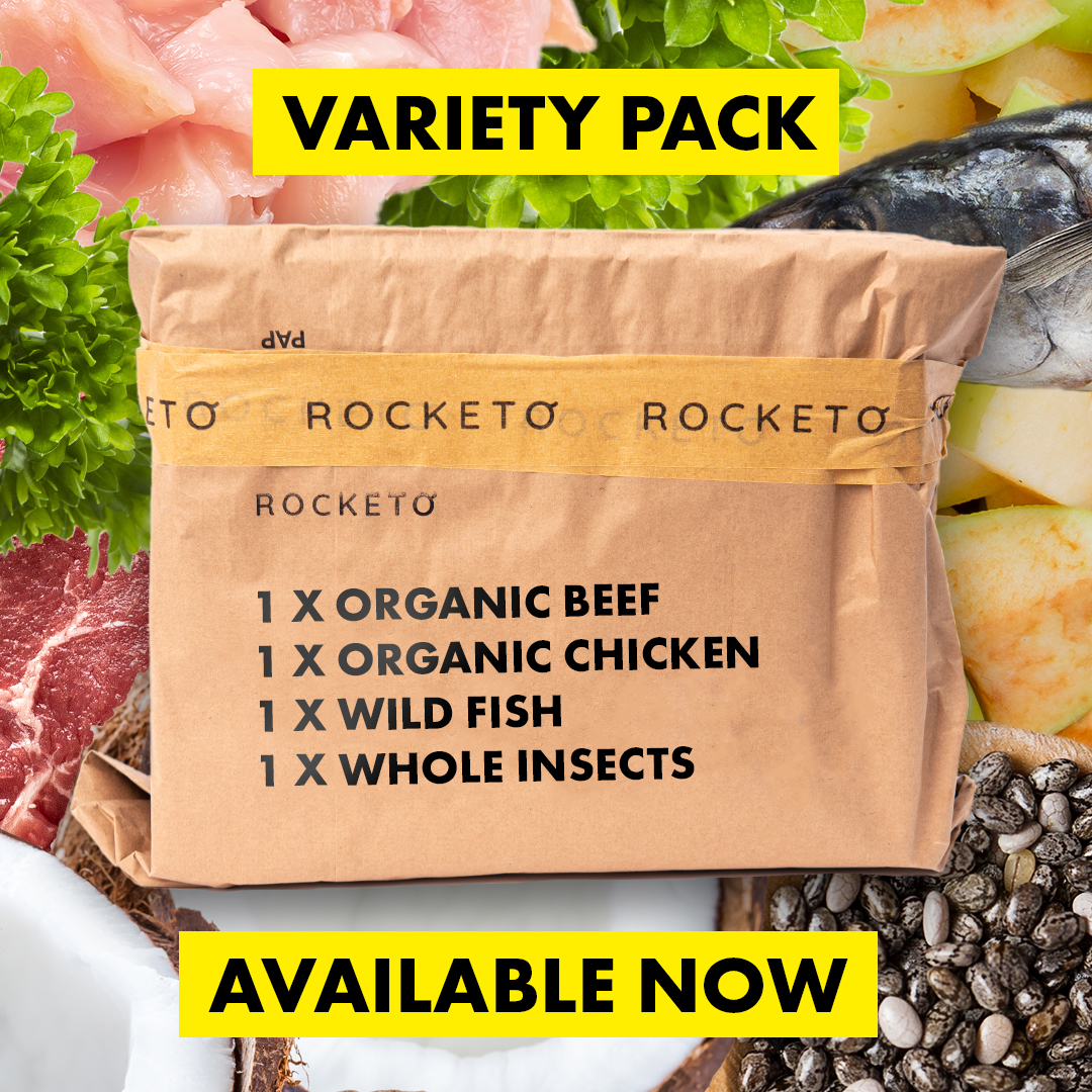 They say variety is the spice of life, but there’s more to it than simply stopping your dog from getting bored of their food. ☝️

Learn more here → gorocketo.com/product/dehydr… 

#rawdoguk #rawdogfood #organicdogfood