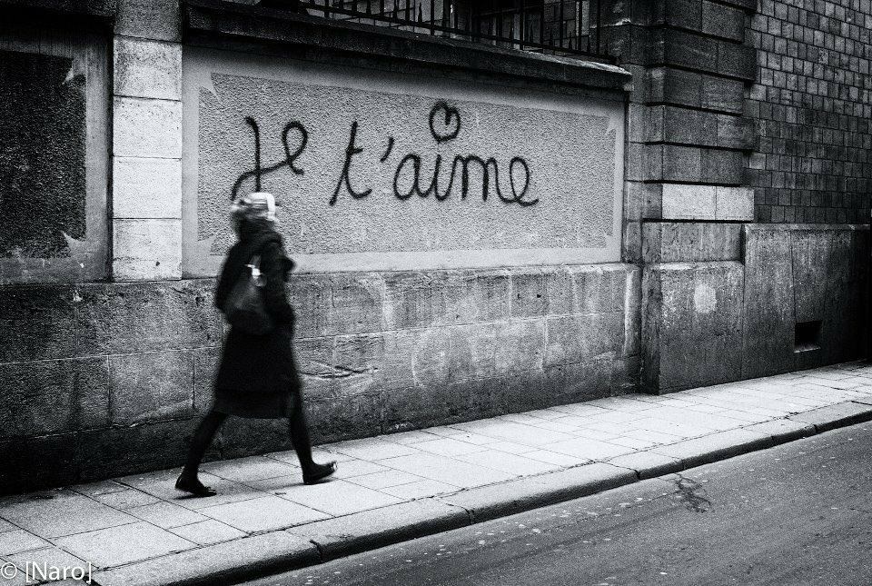 literlandweb1's tweet photo. "Siempre acabamos llegando a donde nos esperan".
"El viaje del elefante"
En recuerdo de José Saramago, que hoy habría cumplido  99 años. https://t.co/LkS0hZoyvJ