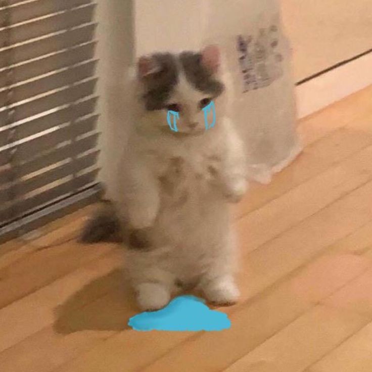 euwnsoc's tweet photo. [ bete bgt ... pengen ngilang ajalah rasanya ] https://t.co/g1NRl68D9p