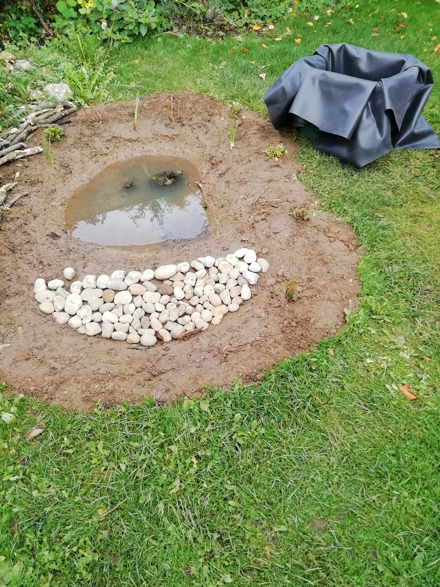 Sarah Russell tweet media