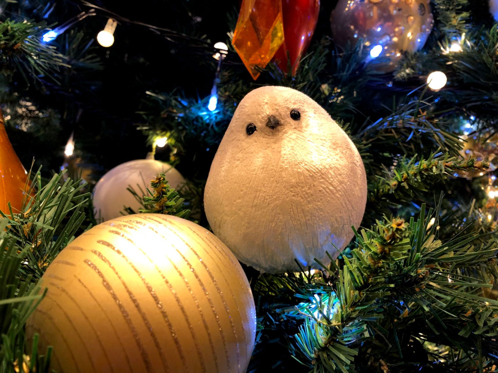 もふもふシマエナガ2羽の花☆かわいいクリスマスプレゼント