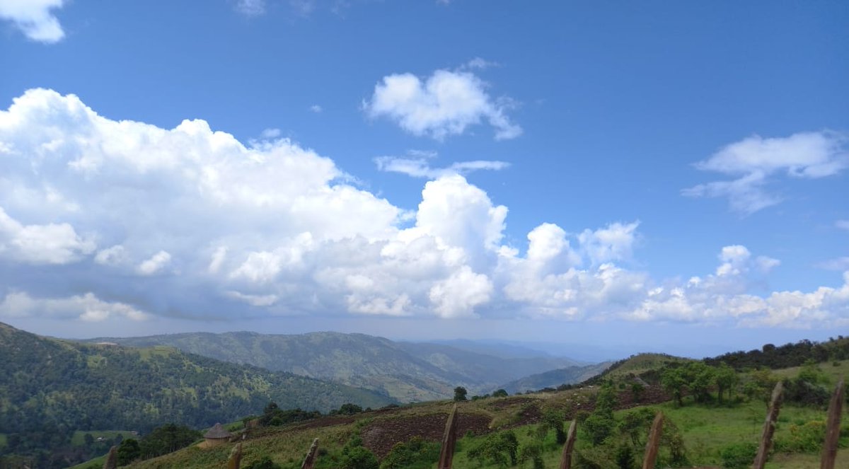 ScottProfessor's tweet photo. In my 20+ years in Kenya, this is my first time to reach West Pokot.

I am absolutely stunned by the beauty here. A unique combination of Kenya/Scotland/DRC/Switzerland, and warm welcoming people. A slice of heaven.

I wish I had visited much sooner &amp; built a home

#MagicalKenya https://t.co/WH5Z9DNGqP