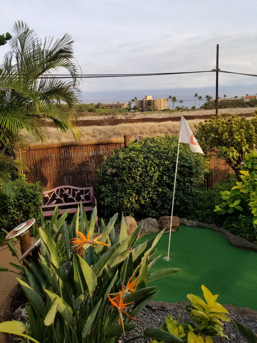 _davewiff's tweet image. Day 6:  Snorkled again off Black Rock Beach again and saw 3 Green Sea Turtles today. And when you cant hit the world famous links but have to get your fix - you hit up Mini Golf.