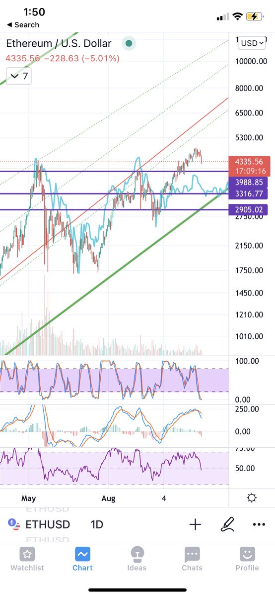 A little update on this 🧵

NFT market is likely heading to a bull market because:

-ETH &amp; the entire market has dipped today. Based on 2017 market fractals, we could bottom out around end of week. Gas should be low near the bottom.