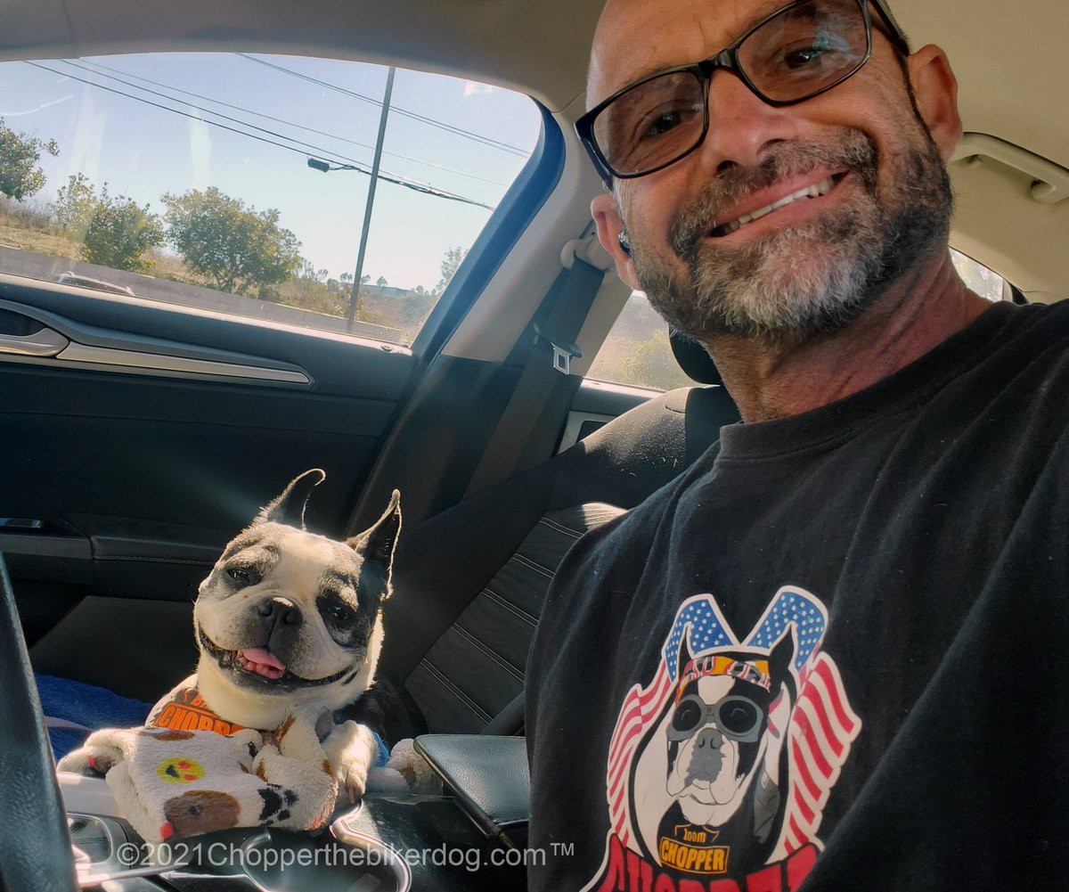 ChopperBikerDog's tweet photo. Just me and my dad, after my appointment at @ethosvethealth /VSH. #BloodTests โค๏ธ #Smiles ๐ #FatherSon #BestBuds
#Chopper #BikerDog #ChopperStrong #ChopperLove #ChopperKisses #DogWithAnemia #DogWithCushings #IMHA #NonRegenertiveAnemia #BostonTerrier #DogWithLiverCancer #Survivor https://t.co/BBWaorsvri