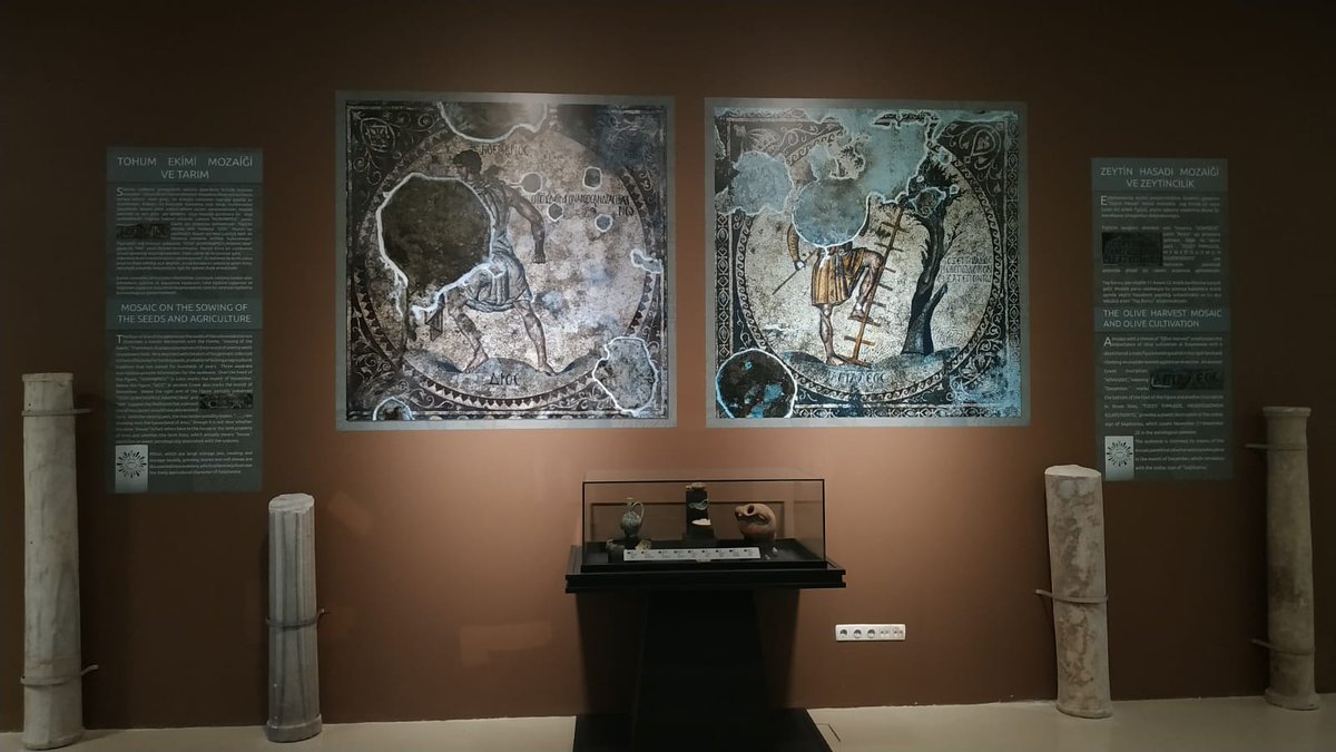 Hatay Arkeoloji Müzemizin koleksiyonundan ilk defa teşhire çıkarılacak 67 eseri, "Zeytin ve Üzümün Tarihe Kazınmış İzleri" sergimizde görebilirsiniz. 5 aylık restorasyon çalışmasının ardından teşhire çıkarılacak Bağbozumu Mozaiği ise serginin en dikkat çekecek eserlerinden biri.