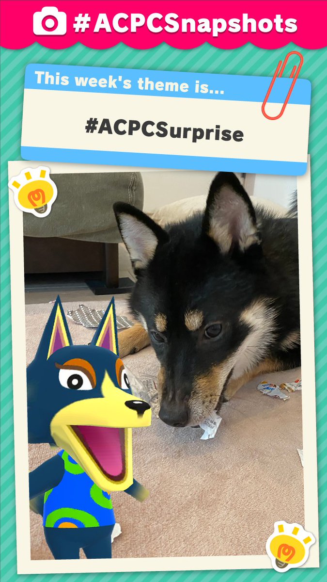 Pocket_Camp's tweet photo. Thank you all so much for your posts on the final #ACPCSnapshots theme, #ACPCSurprise! I'd say I was surprised by your creativity, except I wasn't, because I absolutely expected it! Well done! https://t.co/prUbsJ13y4