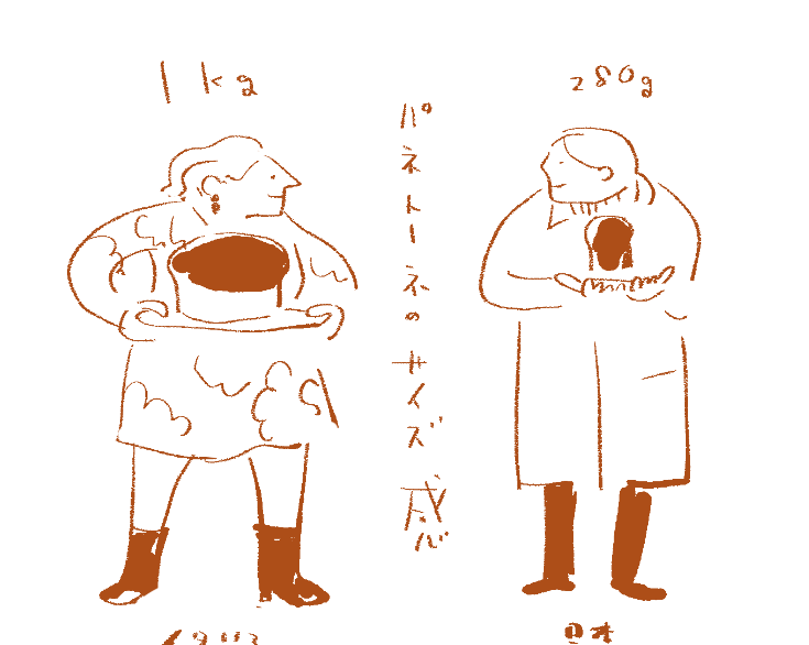 サイズ感 