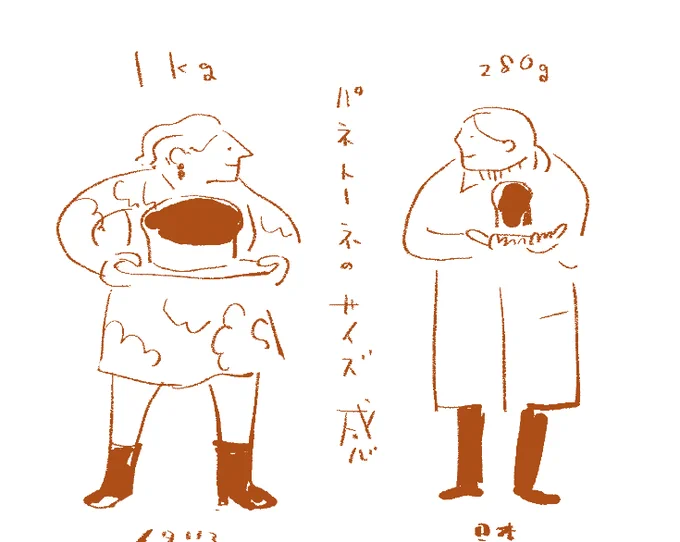 サイズ感 