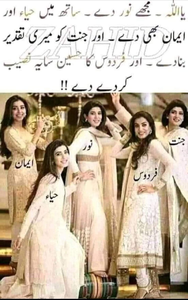 Mohsin khan Mohsin tweet media
