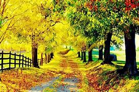 Forgive your enemies, but never forget their names