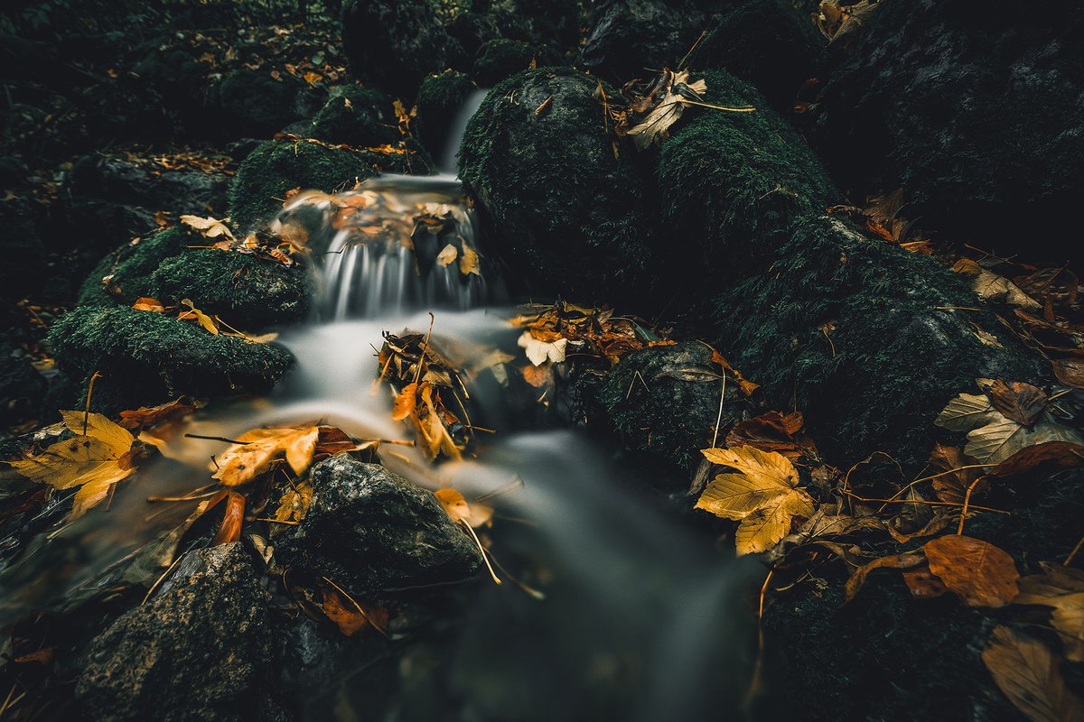 Si la Tête et le Roc de Garnesier appartiennent au Mordor, alors la Souloise coule au cœur de la forêt de Fondcombe 🧝‍♀️🧝🧝‍♂️

📸 Rivières enchantées signées Oli Majery Photography
#ledevoluy #lordoftherings #tolkienlovers