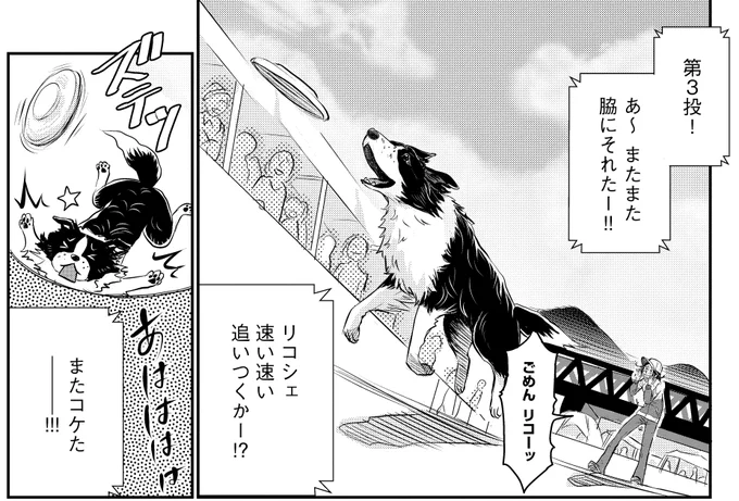 /
#DOGSIGNAL が11時11分をお知らせします🐶
\

今日の1枚はディスクドッグに挑戦中のリコシェ🥏
コケてるところもかわいいです😍

リコシェの名前の由来には飼い主さんの大事なものが。「回る犬」リコシェのエピソードはコミックス1巻に収録✨

それでは今日も
#DOGSIGNAL をよろしくお願いします😀 