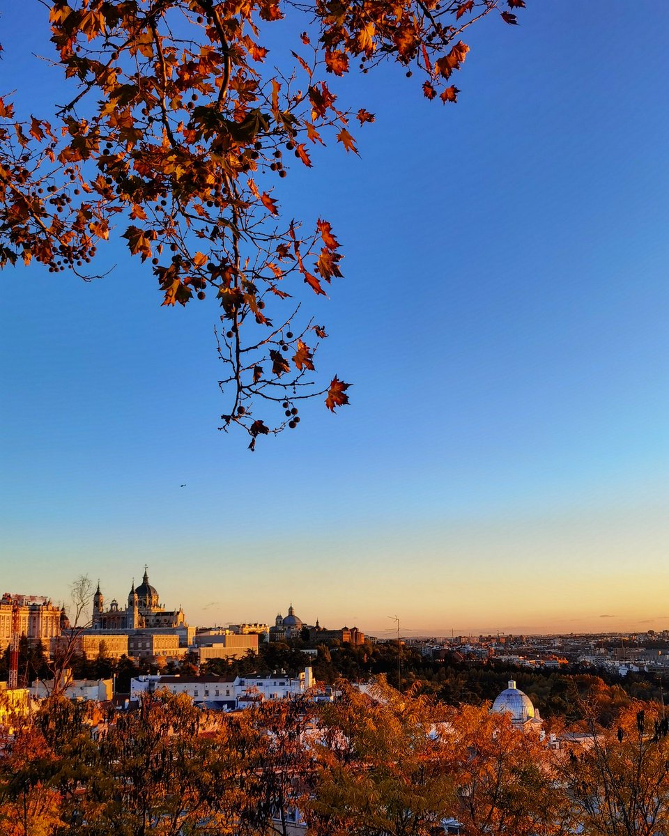 Hoy os doy los buenos días con el atardecer de ayer, captado desde el mirador del Templo de Debod 😍
#madrid