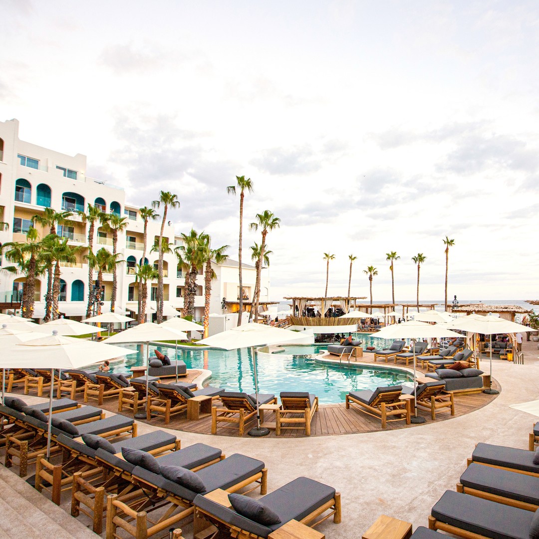 Nieves López Tranche tweet media