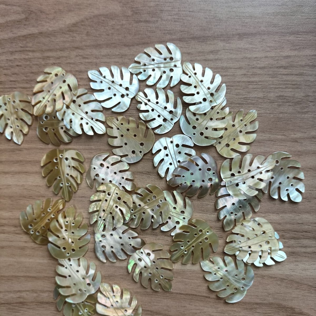 shellworksph's tweet image. Customized handcrafted shell earrings and accessories bound for Fiji.

#shellcraft #shellcraftsupplier #shellhandicraft #philippineshandicraft #handmade #handicrafts #supportlocal #diy #artsandcrafts #shellworks