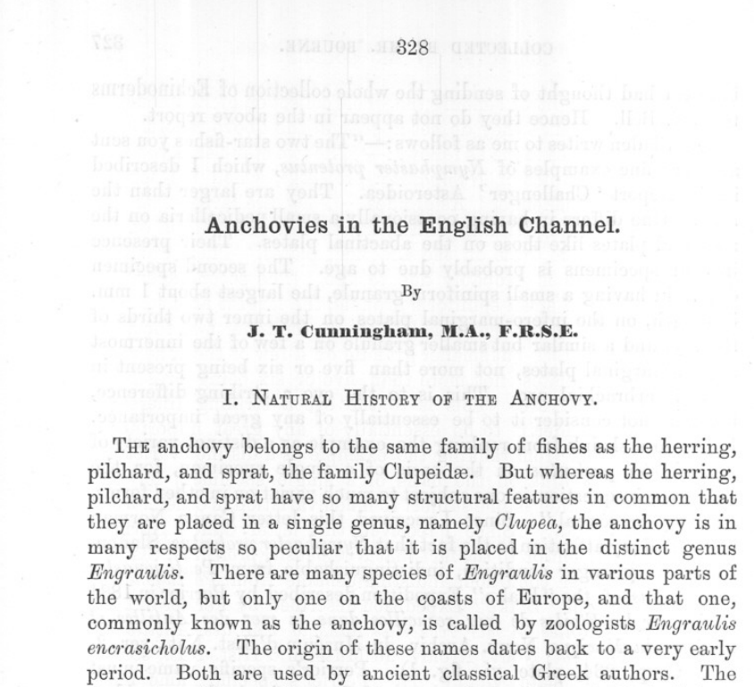 Historical reading of the day: 'Anchovies in the English Channel' published in 1890 in the Journal of the Marine Biological Association of the UK Sometimes you can find old pearls: not all science has been done in the last 5 years.... We need to read also historical papers