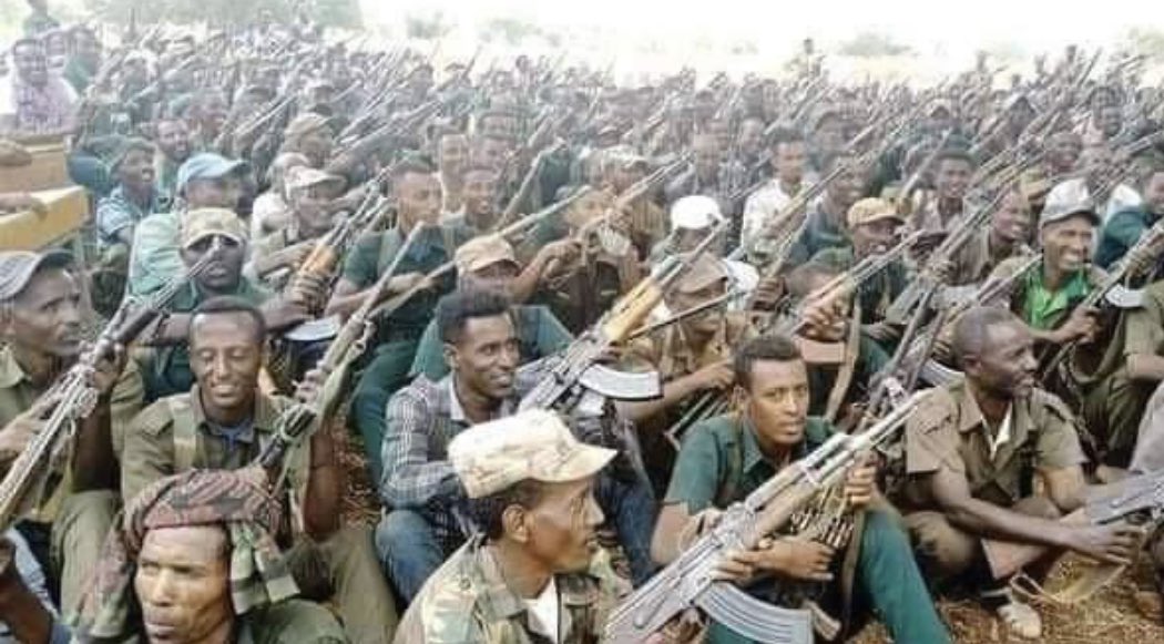 AgegnehuT's tweet image. ሸዋ ፣ጎንደር ፣ ገጃም፣ ወሎ  አገሩን  ለመታደግ በአንድነት  በነቂስ ተነስቷል፤  ወያኔ ኢትዮጵያን አያፈርሳትም አይሳካለትም ኢትዮጵያ በእኛ በልጆቿ መስዋዕትነት ታሸንፋለች!!! ህዝባችን ለተሳሳተ ፕሮፓጋንዳ ጀሮህን አትስጥ!!!