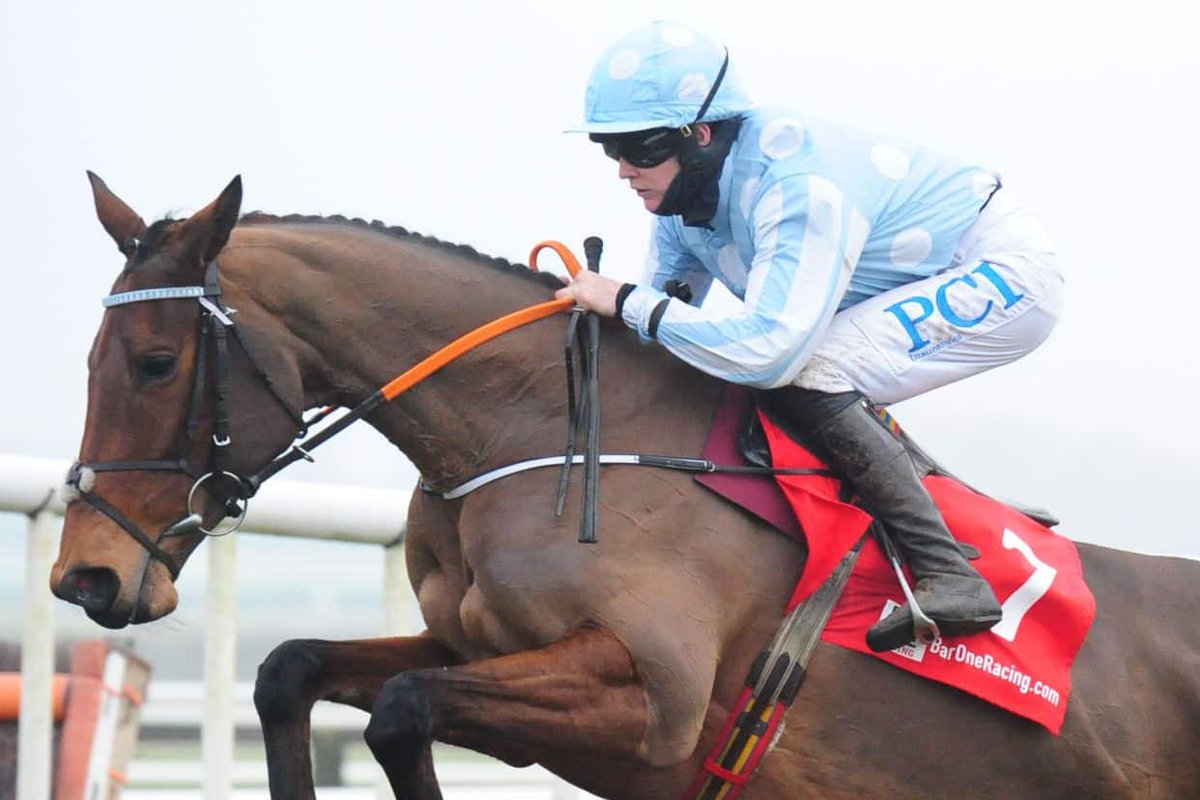 Champion hurdle betting 2022 oscar Champion hurdle betting 2022 oscar fundamentalanalyse forex charts