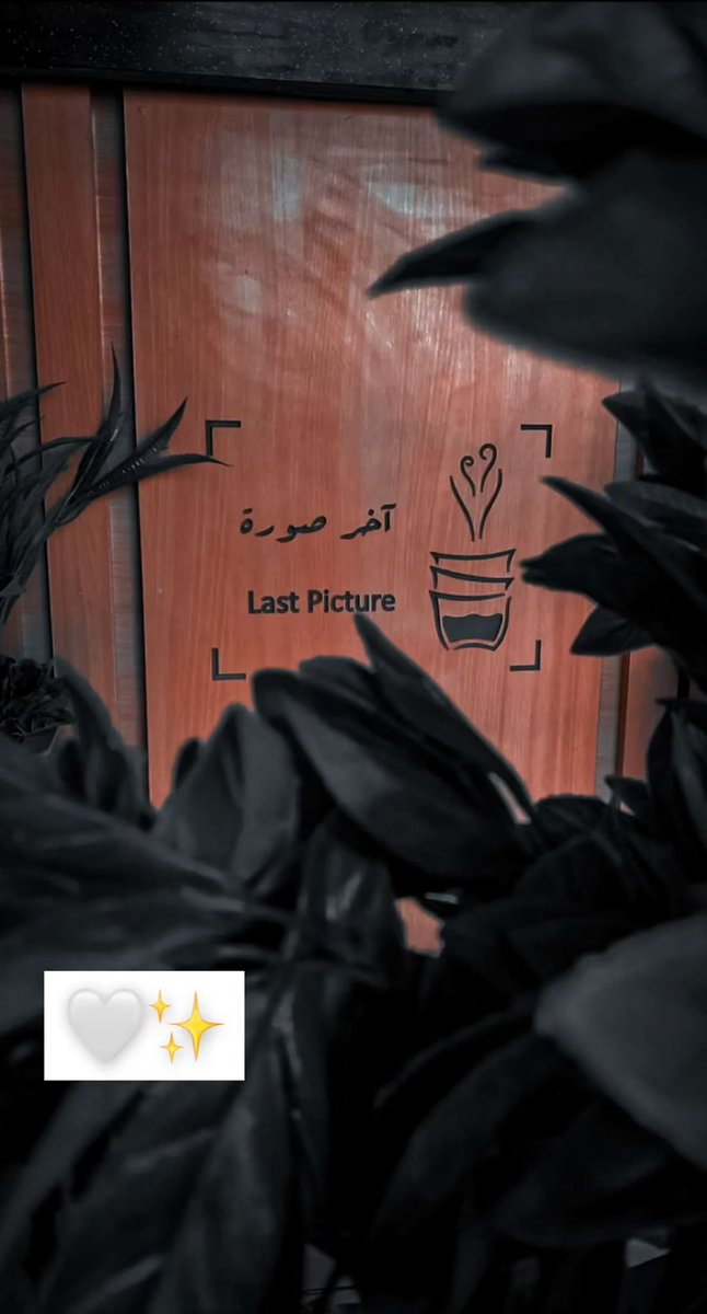 C_LastPicture's tweet photo. #المدينة_المنورة 
#العزيزية
#ديوانية 
#كافيهات_المدينة 
#مقهى_آخر_صورة https://t.co/Xobp8W9fNw
