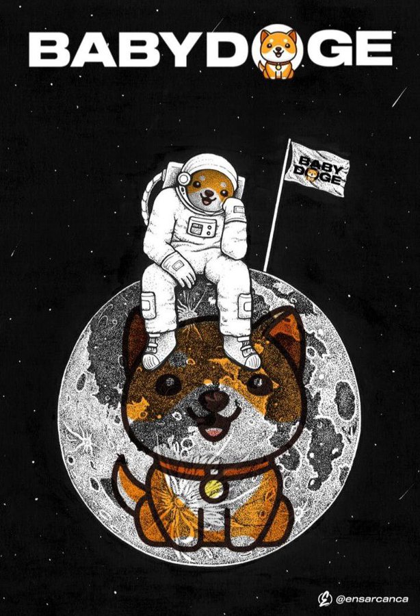 Mulya2021's tweet photo. @ChinaPumpWXC #BabyDogeCoin https://t.co/N1UEktIOVv