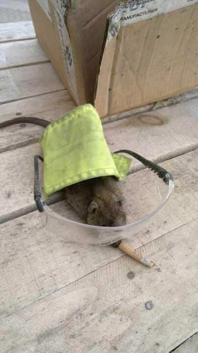 went57's tweet photo. Memory just popped up of our old work m8,RIP Roland https://t.co/7ixAAuE4CB