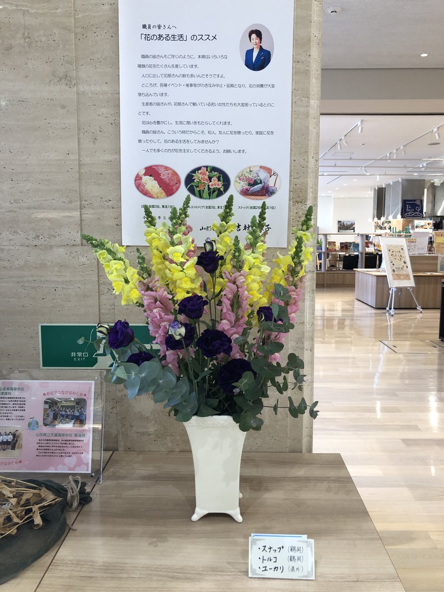 山形県立図書館 今週のお花 スナップ 鶴岡市 トルコ 鶴岡市 ユーカリ 県外産 です スナップ は 清純な心 トルコは 希望 ユーカリは 再生 といった花言葉があります ユーカリと言えば ハーブティーの一種であるユーカリ茶を想像しま 山形県立図書館 今週のお花 スナップ 鶴岡市 トルコ 鶴岡市 ユーカリ 県外産 です スナップ は 清純な心 トルコは 希望 ユーカリは 再生 といった花言葉があります ユーカリと言えば ハーブティーの一種であるユーカリ茶を想像しま