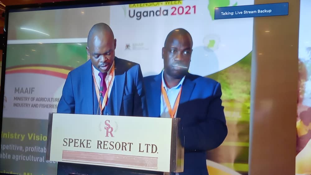 Dr Paul Fatch <a href="/afaasinfo/">African Forum For Agricultural Advisory Services.</a> deputy chairperson at #AgriEXtWeek21:) pluralistic extensions services is a key issue for improving agricultural productivity in #Africa. <a href="/NEPAD_CAADP/">CAADP</a> <a href="/FARAinfo/">FARA Africa</a> <a href="/ASARECA/">ASARECA</a> <a href="/ccardesaa/">CCARDESA</a> @AGRAAlliance <a href="/CORAFNews/">CORAF</a> <a href="/FarmAfrica/">Farm Africa</a> #AAEW2021