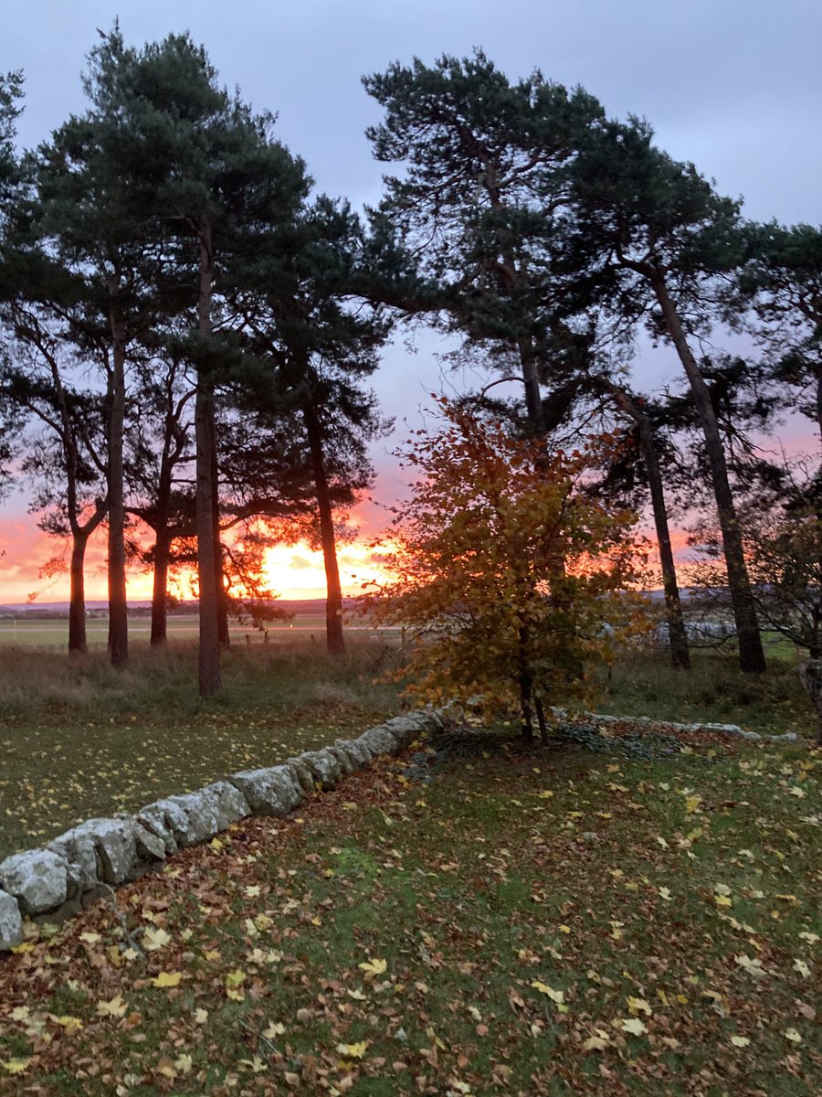 GstounChaplain's tweet photo. Tuesday morning, convening the Burial Committee, a fact of life softened a little by places such as these https://t.co/5cPIhmJkoP