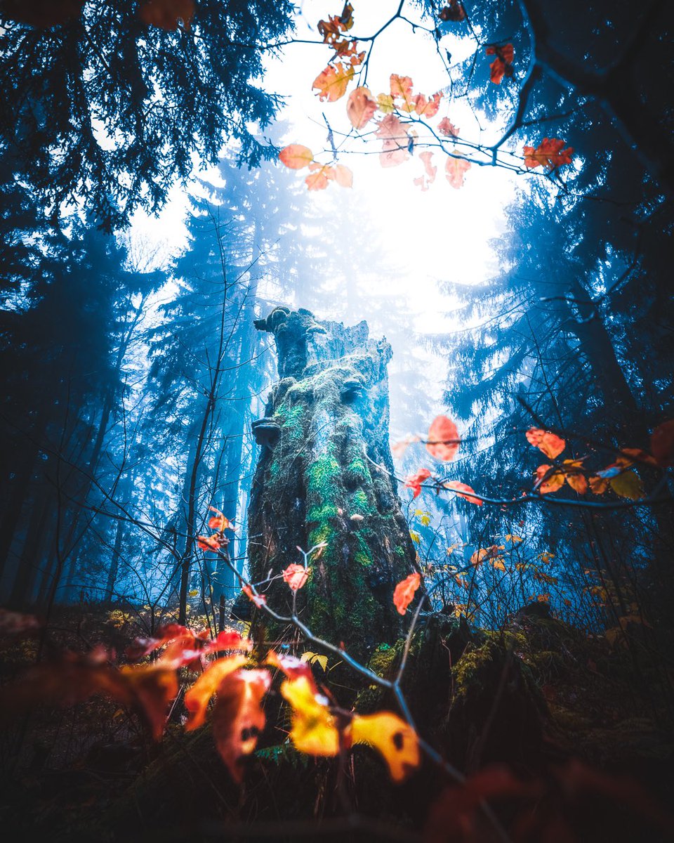 speer_philipp's tweet photo. GM. Have a nice day. ✌️ #autumnvibes #herbst #moody https://t.co/qvHwKr0pOH