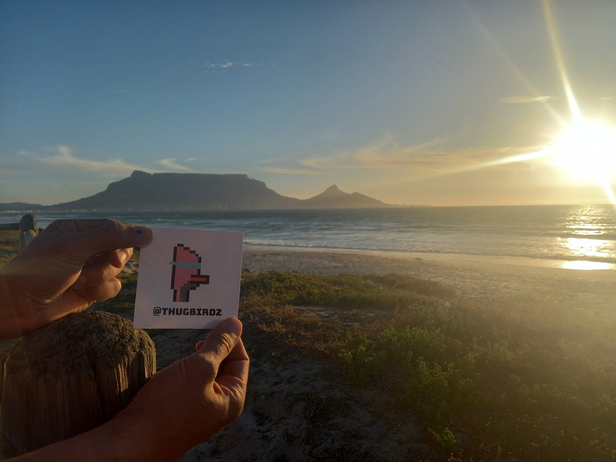 This thuggish sticker arrived from #thugistan all the way in #CapeTown #SouthAfrica. This really made my day. Love this community! Thank you <a href="/thugbirdz/">thugbirdz ¬¬</a> &amp; <a href="/thugDAO/">thugDAO | Stake w/ Jito+ThugDAO validator</a>. To the moon we go, CawCaw