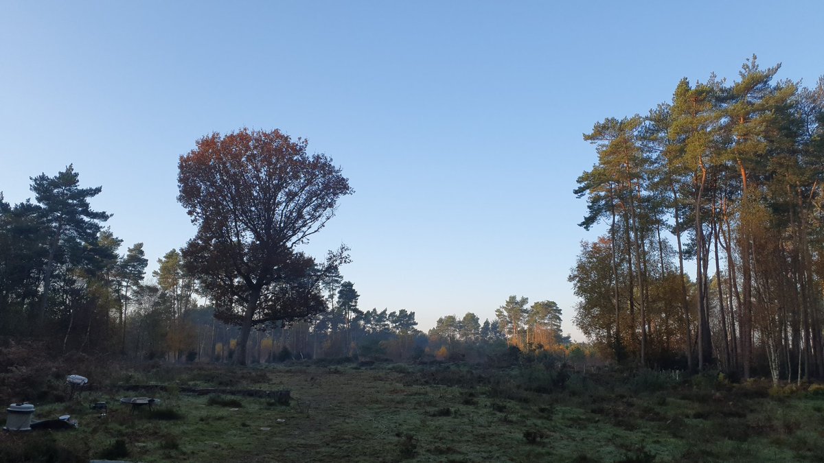 woods4learning's tweet photo. Stunning for year 1s today @LeechpoolSchool to be visiting the woods for their #outdoorlearning #forestschool session. 1st trip since #lockdown Let's get kids #outdoors improve #mentalhealth @educationgovuk @wscountytimes @WSCCNews https://t.co/SXAlufzwoL