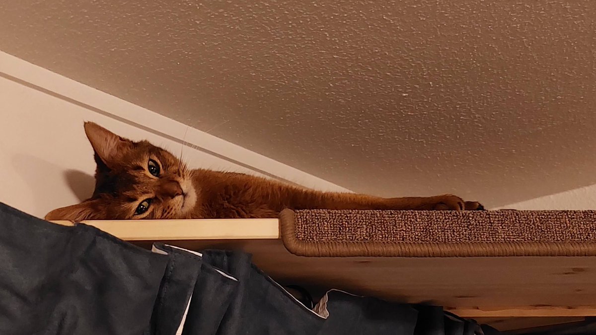 Emma Skarstein tweet media