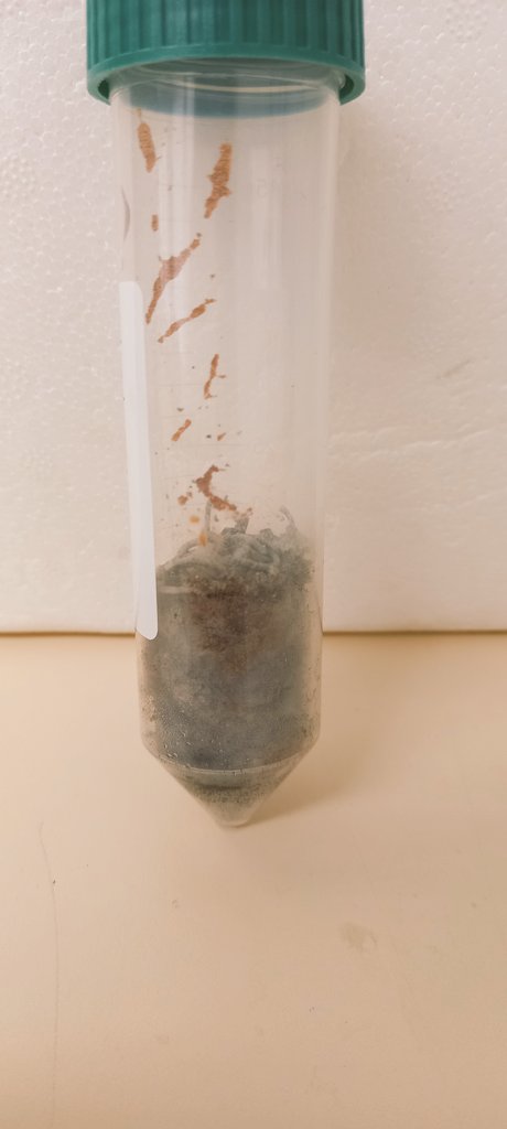 Wilma Nel, PhD tweet media