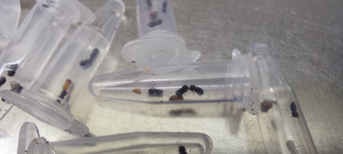 Wilma Nel, PhD tweet media