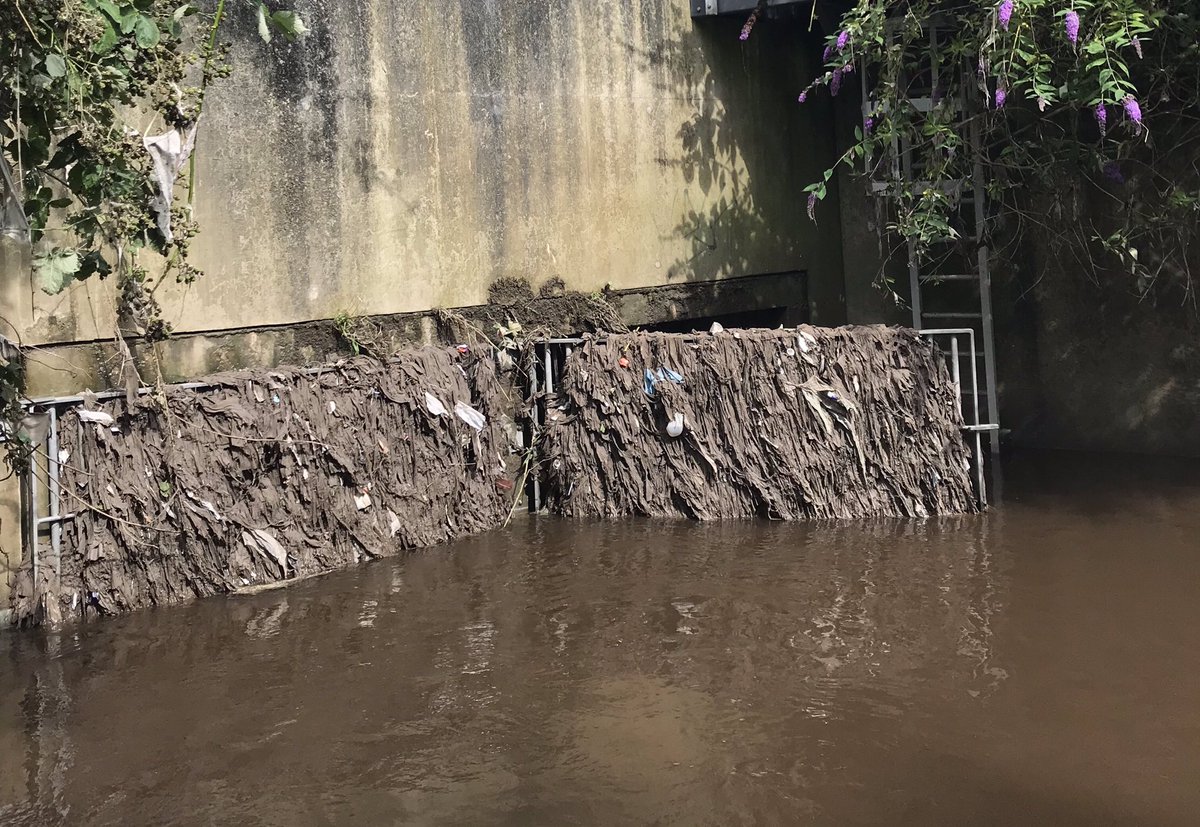 Prof Jamie Woodward tweet media