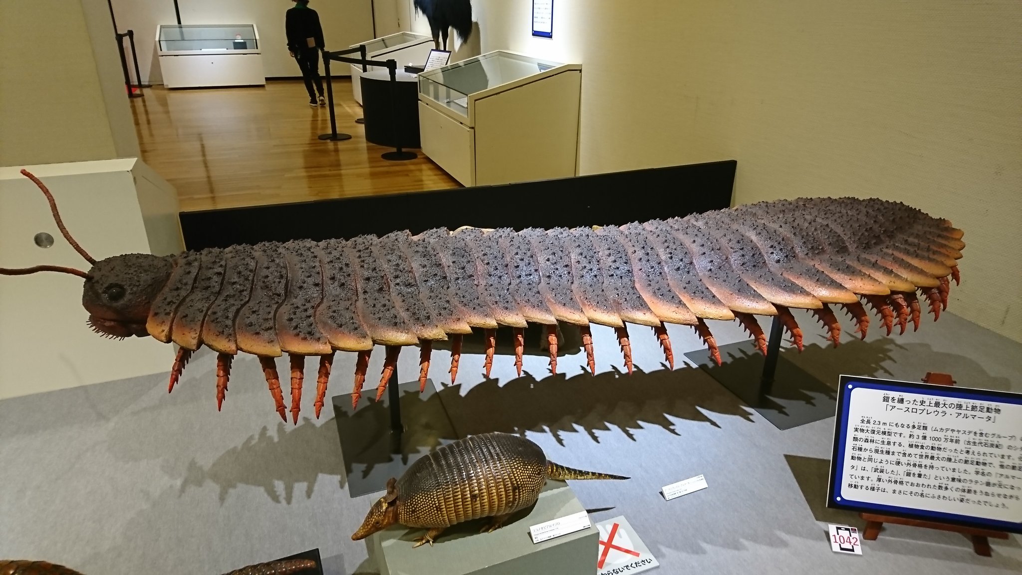 تويتر レイブン アナログイラストレーター على تويتر アースロプレウラ アルマータ いのちのたび モンスター展 古代に生息していた巨大なヤスデで 最大2m以上に達していたようです これは陸棲の節足動物の中では史上最大の大きさです 古代生物 ヤスデ