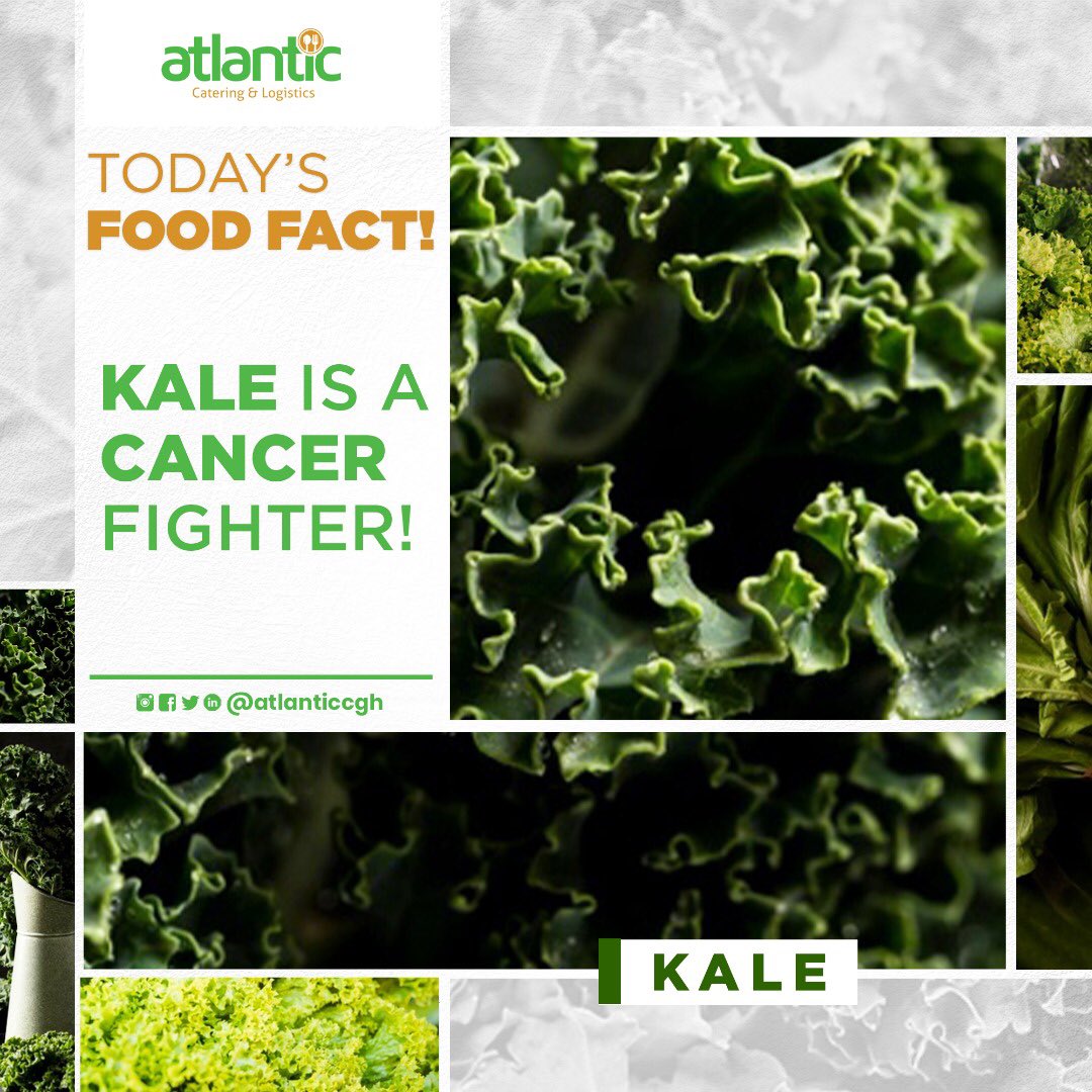 atlanticcgh's tweet photo. @atlanticcgh Food facts Tuesday_Kale is a cruciferous vegetable & has a high concentration of Vitamin C & Vitamin K.
Research shown it has a powerful soldier against prostate & colon cancer, lung cancer & breast cancer.
#foodfacttuesday #isocertified #acll https://t.co/ORRMKn2IQM