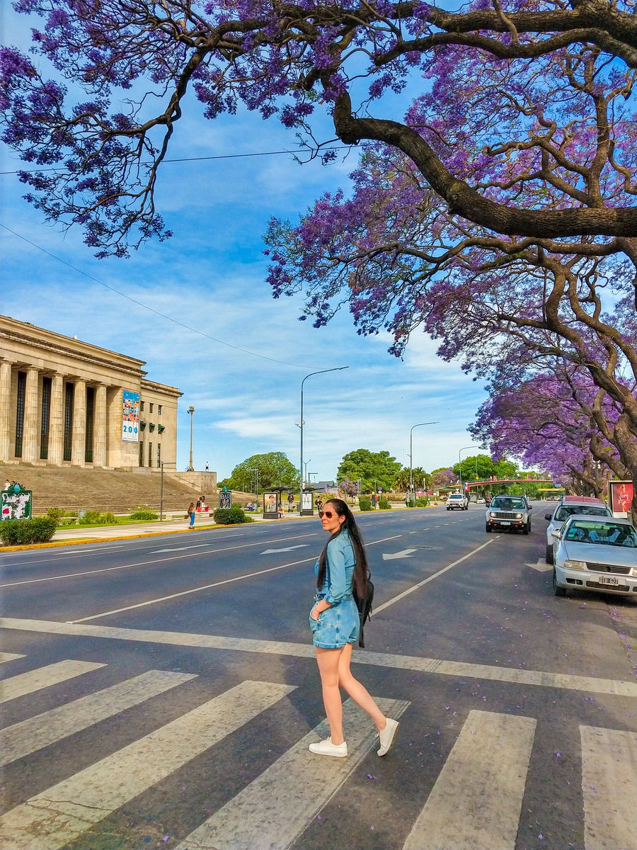 MigranteTurista's tweet photo. Primavera en Baires 💜 https://t.co/D0vhrhF1pM