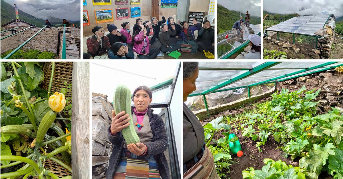 UNDPNepal's tweet photo. At a height of 3,550 meters, Samagaun, the last settlement on way to Manaslu, is on its way to improve food security - in the face of harsh climate and rugged terrain. Read more to know how: 

https://t.co/XQaUuO4o1Q https://t.co/Mh3EysedXJ