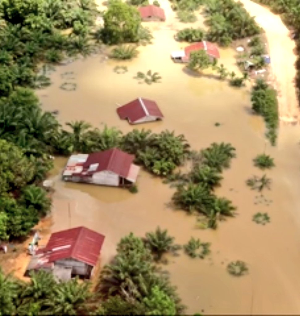 Kalimantan. Musim kemarau kabut asap, musim hujan banjir. Ini yang disebut "pembangunan".

Papua sedang dijarah dan akan bernasib sama atas nama "NKRI Harga Mati".

Foto: Film "Kinipan"