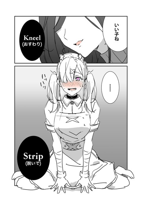 Dom/Sub typeT/S 