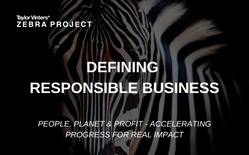 The Zebra Project tweet media